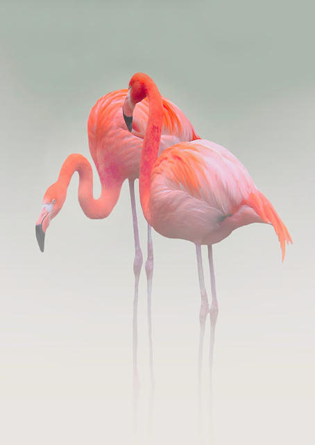 Just the two of us / PLATINA