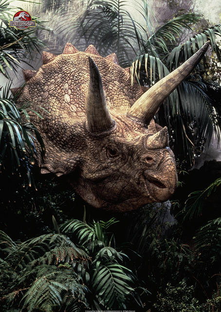 Dino Beauty Shots 8 / PLATINA