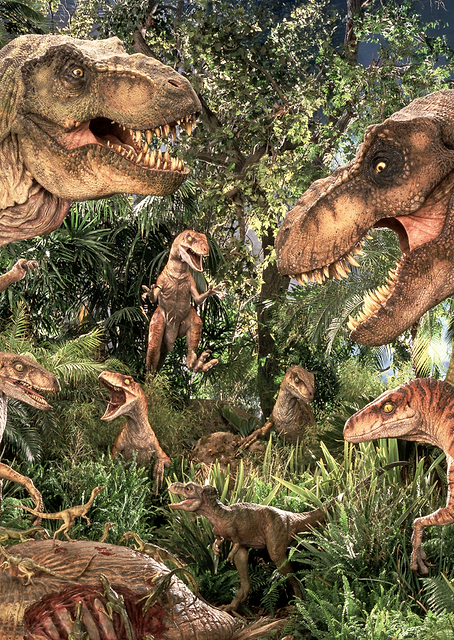 Dino Beauty Shots 4 / PLATINA
