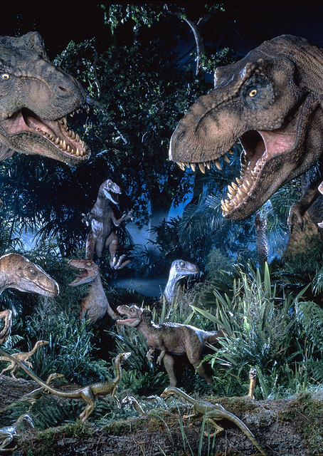 Dino Beauty Shots 2 / PLATINA