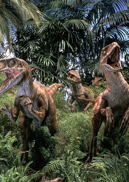 Dino Beauty Shots 3 / PLATINA