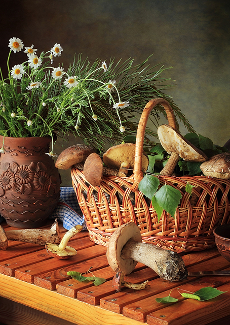 Mushrooms Basket / PLATINA