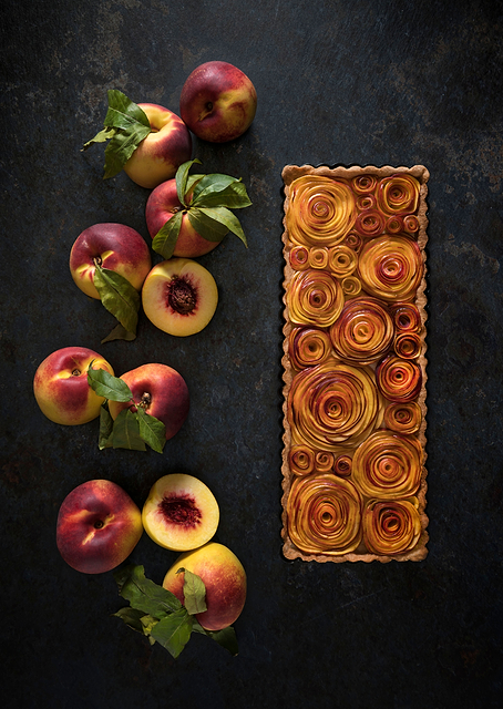 Field of peachy roses / PLATINA