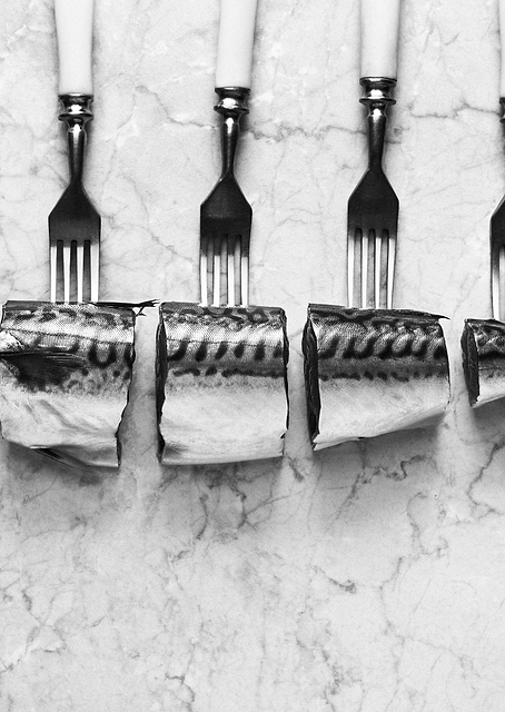 Mackerel forks / PLATINA