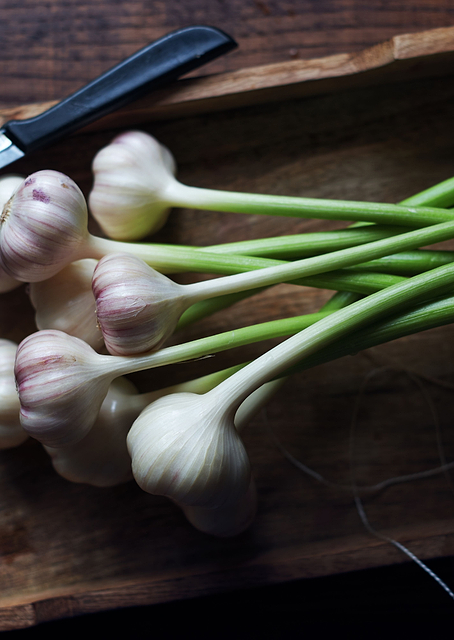 Garlic / PLATINA