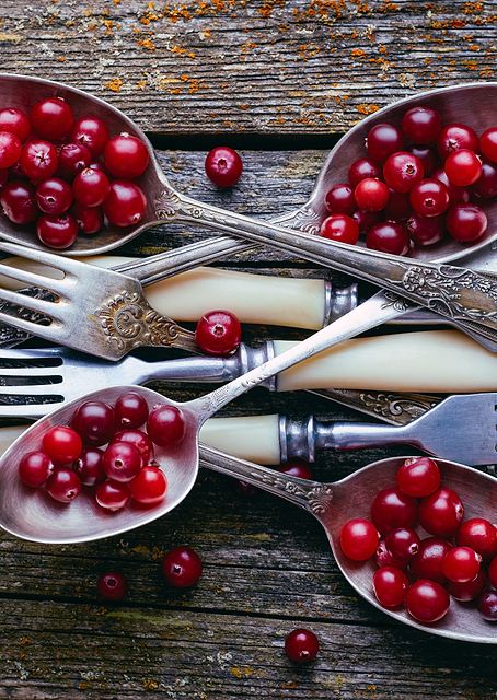 Cranberry Spoon / PLATINA