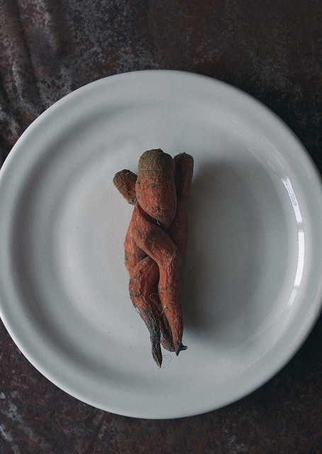 Healthy in the past / PLATINA