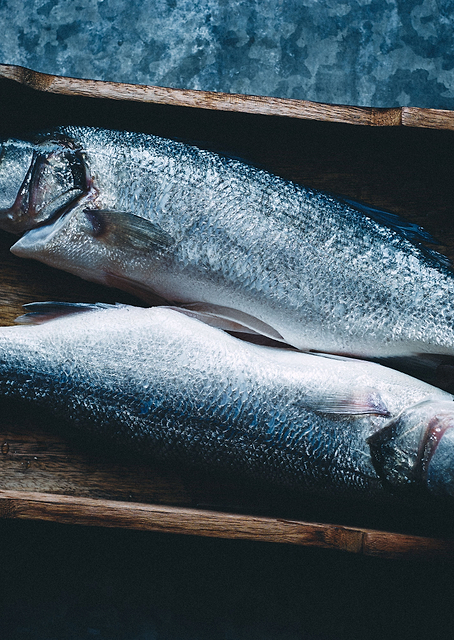 Two fishes / PLATINA