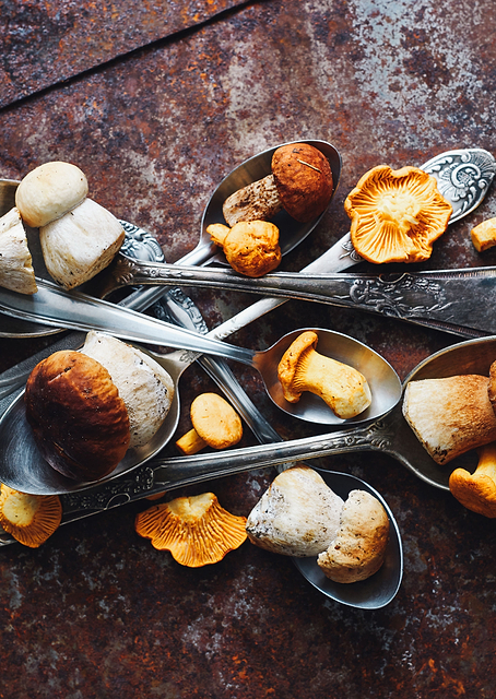 Wild mushrooms / PLATINA