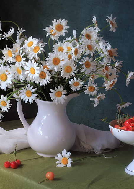 White daisies and cherries / PLATINA