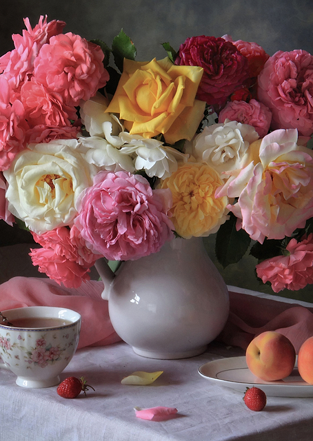 Peach roses with tea / PLATINA