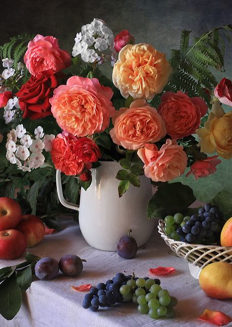 Peach garden roses / PLATINA
