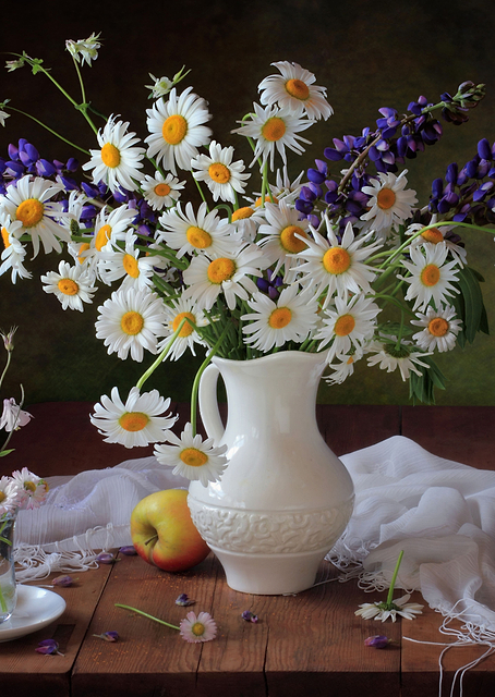 White daisies and lupines / PLATINA