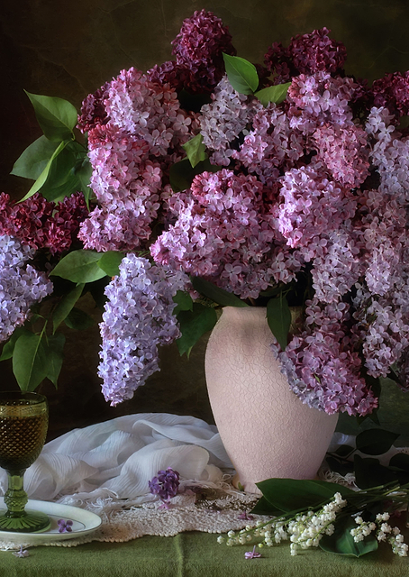 Violet lilacs / PLATINA
