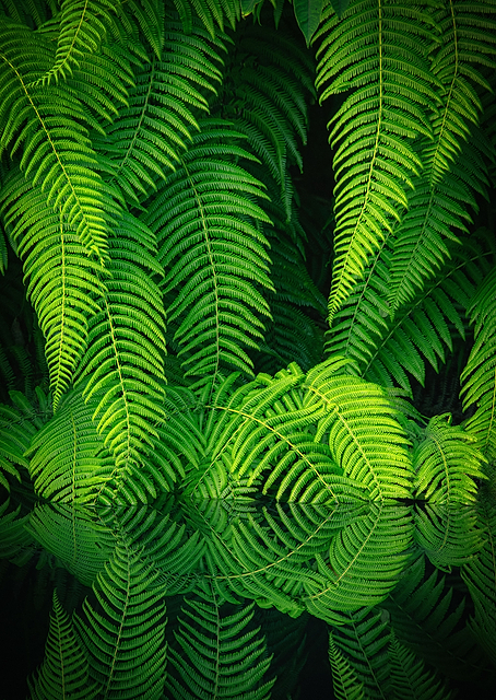 Beauty In Nature / PLATINA