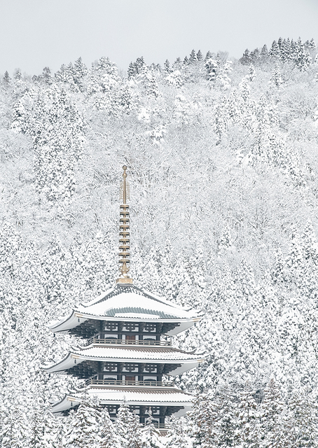 Tower of Winter / PLATINA