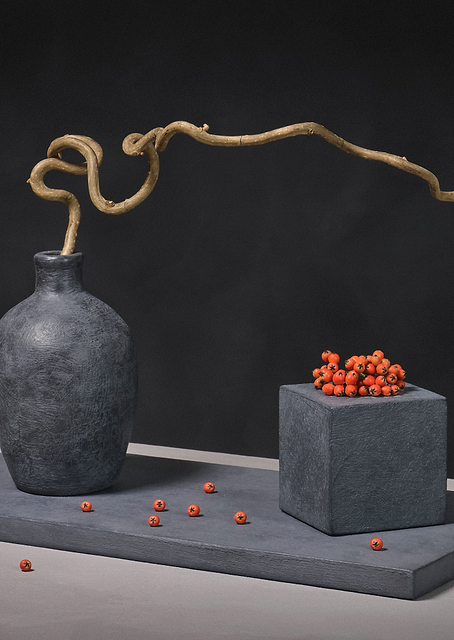 Corylus Avellana / PLATINA