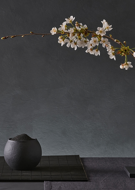 Prunus Avium / PLATINA