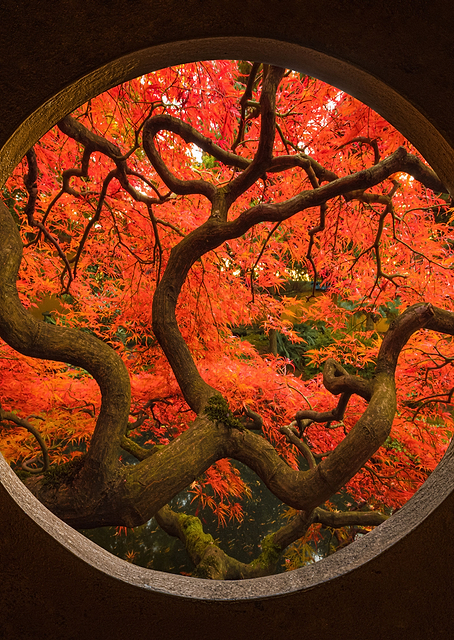 Autumn Sense / PLATINA