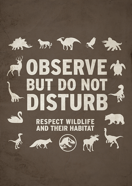 Observe but do not disturb / PLATINA