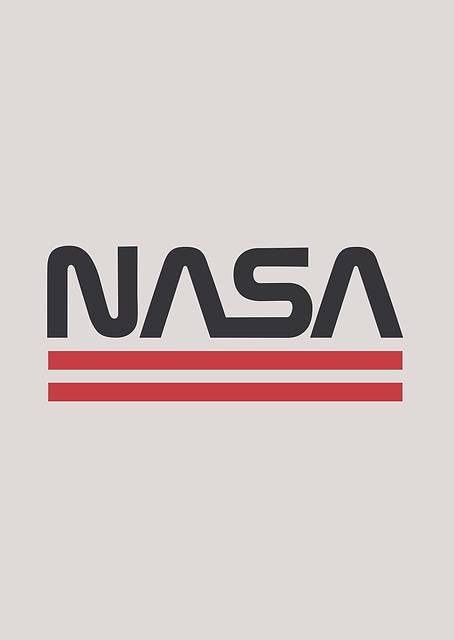 NASA worm 3 / PLATINA