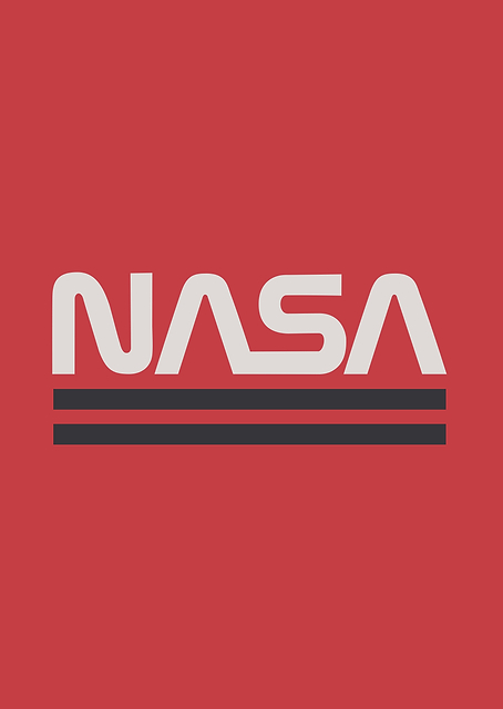 NASA worm 4 / PLATINA