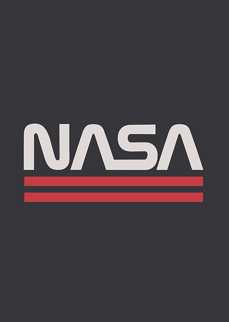NASA worm 5 / PLATINA
