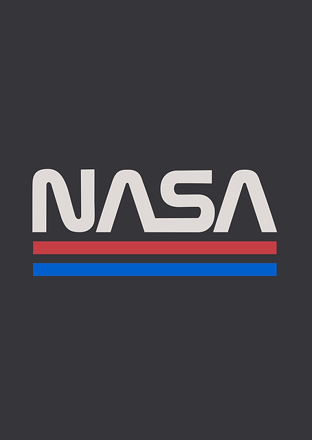NASA worm 2 / PLATINA