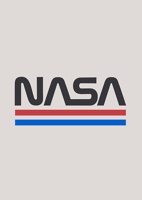 NASA worm 1 / PLATINA