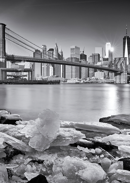 New York Brooklyn Bridge / PLATINA