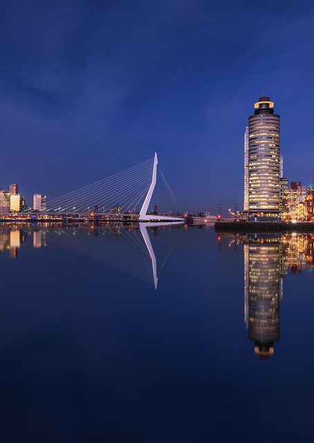 Fantasy Rotterdam / PLATINA