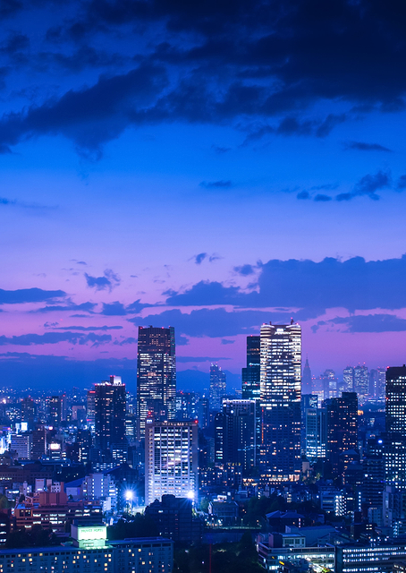 Tokyo night view / PLATINA