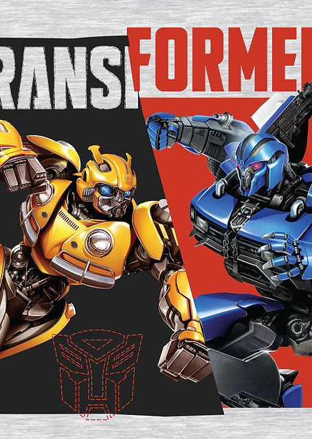 Transformers / PLATINA