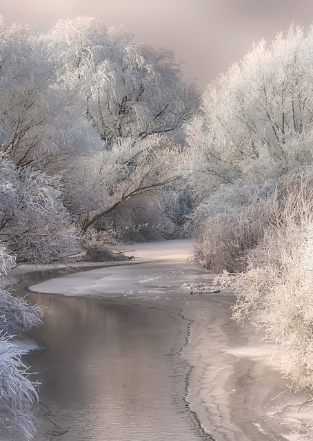 Winter Song / PLATINA