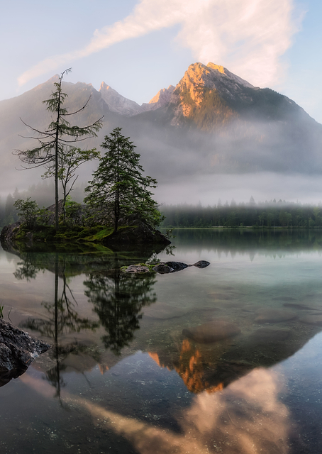 Nature's Awakening / PLATINA