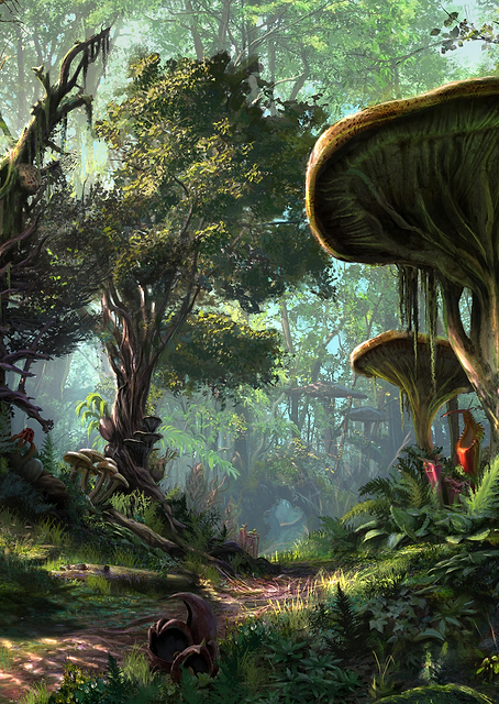 Morrowind Forest / PLATINA