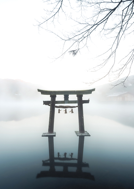 Japanese / PLATINA