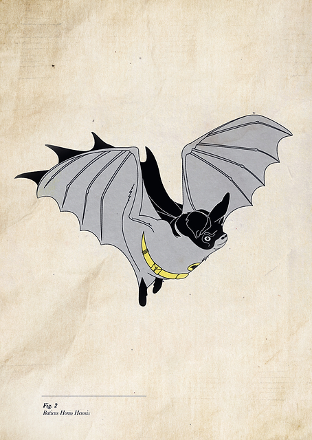 Baticus Homo Herosis / PLATINA