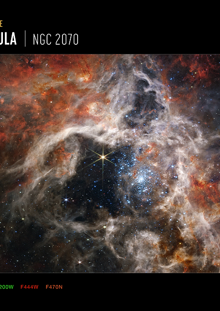 Tarantula Nebula frame / PLATINA