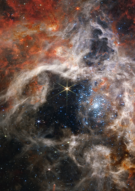 Tarantula Nebula / PLATINA