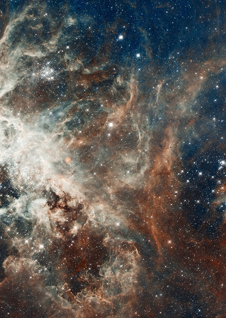 Nebula Photo / PLATINA