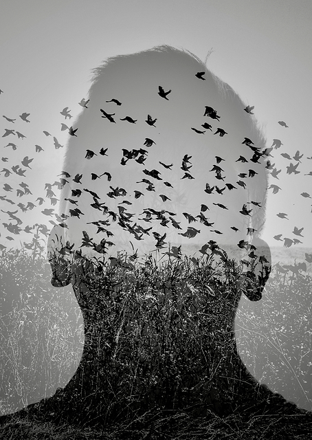 Flying Mind / PLATINA