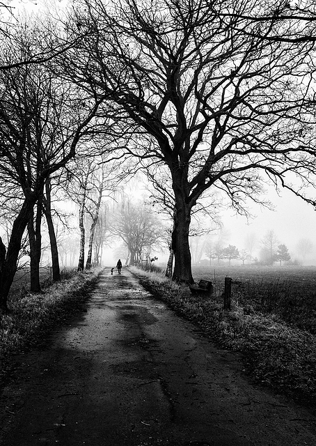 Lonely way back home / PLATINA