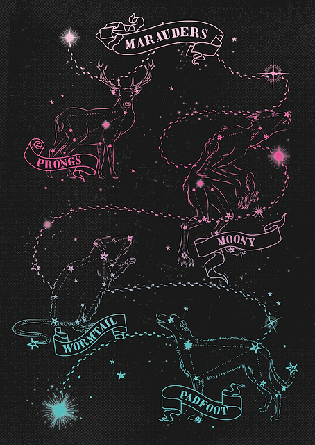 Marauders Sky Map / PLATINA
