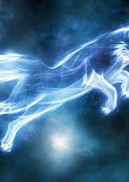 Fox Patronus / PLATINA