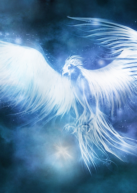 Phoenix Patronus / PLATINA