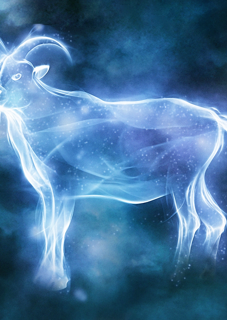 Goat Patronus / PLATINA