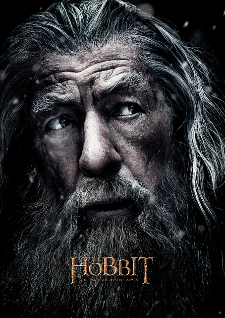 H3 Gandalf Portrait / PLATINA