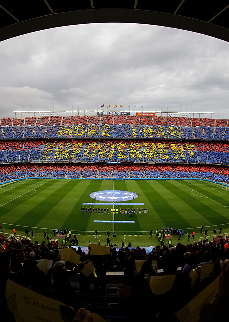 Field from stands / PLATINA