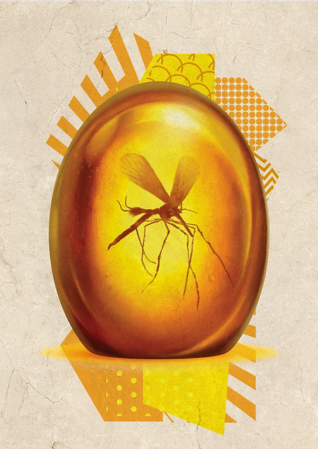 Amber Mosquito Egg / PLATINA